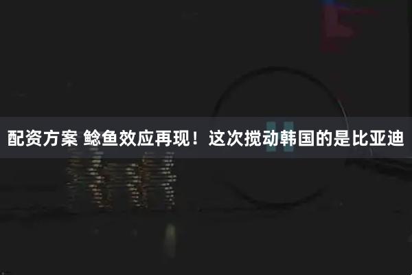 配资方案 鲶鱼效应再现！这次搅动韩国的是比亚迪