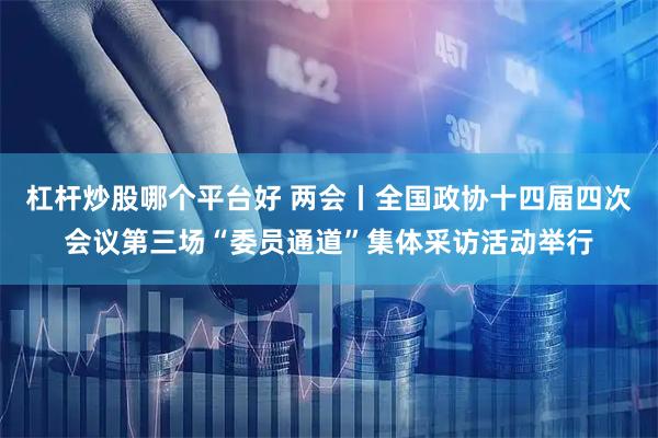 杠杆炒股哪个平台好 两会丨全国政协十四届四次会议第三场“委员通道”集体采访活动举行